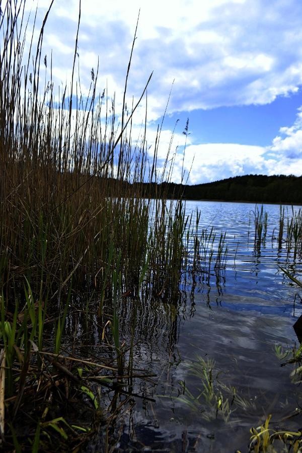 Domek Nad Jeziorem, A Morze W Gratisie Wisełka Extérieur photo